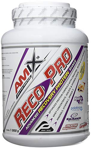 Amix Reco-Pro 1000 Gr