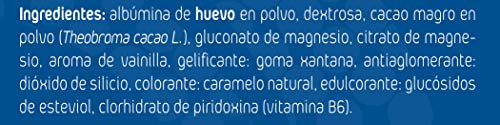 AML SPORT -OVOMAG- Albumina de huevo, Magnesio y Vitamina B6 – 410 gr. Regenerador de fibras musculares. Ayuda a disminuir el cansancio y la fatiga. CACAO 100% PURO NATURAL. Envase para 35 días.