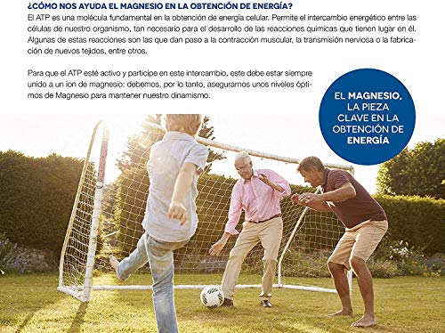 AMLsport - Magnesio total – 12 sobres de 20 ml (sabor limón) disminuye el cansancio y la fatiga, mejora el funcionamiento de músculos, huesos y sistema nervioso. Apto para veganos.