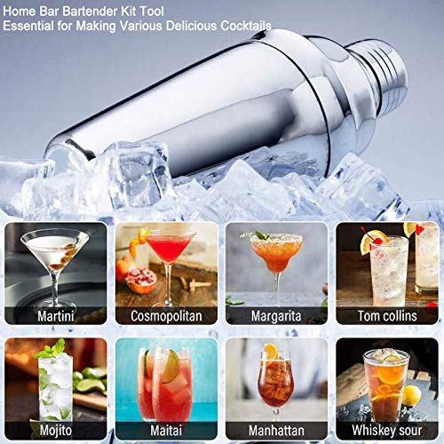 A/N Juego para Cócteles,550ml Martini Shaker con Set de cócteles Accesorios 12 Piezas de Herramientas Profesionales de Acero Inoxidable de Barra (Plata, 550ML)