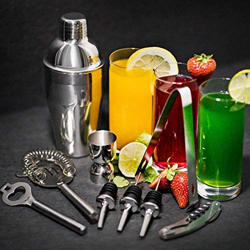 A/N Juego para Cócteles,550ml Martini Shaker con Set de cócteles Accesorios 12 Piezas de Herramientas Profesionales de Acero Inoxidable de Barra (Plata, 550ML)