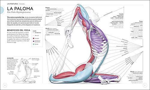 Anatomía del yoga: Un estudio fisiológico postura a postura (Estilo de vida) Anatomía del yoga: Un estudio fisiológico postura a postura (Estilo de vida)