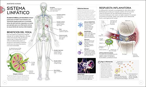 Anatomía del yoga: Un estudio fisiológico postura a postura (Estilo de vida)