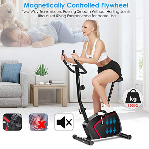 ANCHEER Bicicleta de Fitness 10 Niveles de Resistencia Magnética, Bicicleta Estática con Pantalla LCD, Bicicleta Ejercicio en Casa Soporte para Movil/iPad, Mango de Impulso, Carga Máxima: 120KG