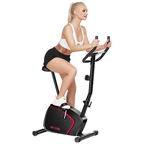 ANCHEER Bicicleta de Fitness 10 Niveles de Resistencia Magnética, Bicicleta Estática con Pantalla LCD, Bicicleta Ejercicio en Casa Soporte para Movil/iPad, Mango de Impulso, Carga Máxima: 120KG