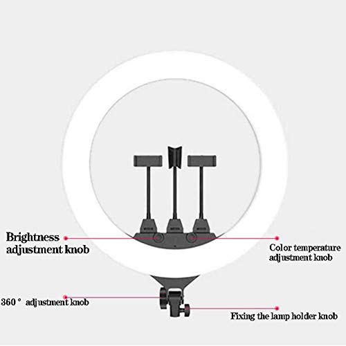 Anillo de luz LED Luz de relleno con soporte y soporte para teléfono celular Luz de anillo autofoto regulable con 3 modos de luz para transmisión en vivo / maquillaje Fotografía de Youtube-16 "(Upgr