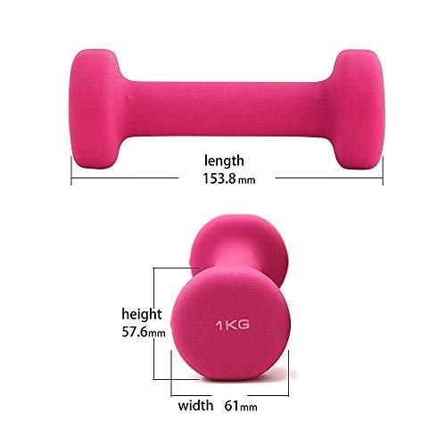 Anjing - Juego de 2 mancuernas de neopreno, 1 kg, color rosa Anjing - Juego de 2 mancuernas de neopreno, 1 kg, color rosa