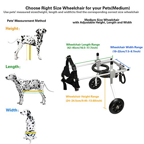 ANMASBOX Tamaño para perro mediano ajustable de acero inoxidable carrito de mascota/gato perro silla de ruedas de rehabilitación de patas traseras para perros discapacitados, 2 ruedas