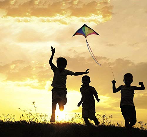 Anpro Gran Cometa para Niños y Adultos- Fácil de Volar con Viento Fuerte o una Suave Brisa Velas Niños Anpro Gran Cometa para Niños y Adultos- Fácil de Volar con Viento Fuerte o una Suave Brisa Velas Niños