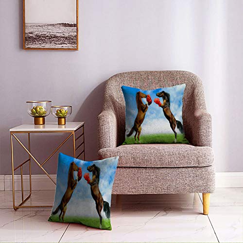 anzonto Juego de 2 fundas de almohada de caballo con guantes de boxeo para sofá, cama, silla, decoración de 45 x 45 cm.