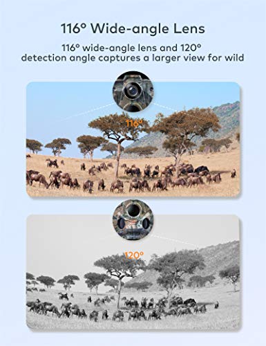 APEMAN Cámara de Caza 20MP 1080P con Tarjeta TF 16GB, Rango de detección 120 °, Lente Gran Angular de 116 °, Distancia de Disparo de 20M para Seguridad doméstica y monitoreo de Vida Silvestre APEMAN Cámara de Caza 20MP 1080P con Tarjeta TF 16GB, Rango de detección 120 °, Lente Gran Angular de 116 °, Distancia de Disparo de 20M para Seguridad doméstica y monitoreo de Vida Silvestre