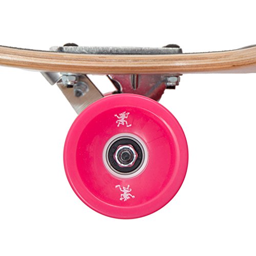 Apollo Longboard Supernova Special Edition Tabla Completa con rodamiento de Bolas High Speed ABEC Incl. Skate T-Tool, Drop Through Freeride Skate Cruiser Boards