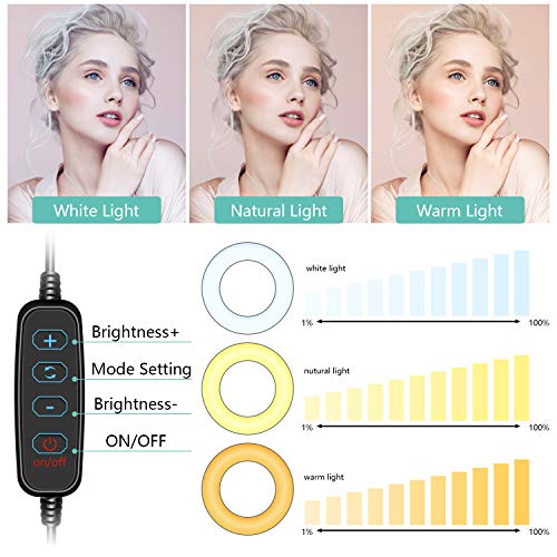 Aro de Luz con Trípode 10", ITSHINY LED Anillo de Luz 3 Colores 11 Brillos Regulables, Wireless Control Remoto y Alimentado por USB, Aro de luz para Movil Tiktok Fotografía Maquillaje Selfie Youtube Aro de Luz con Trípode 10", ITSHINY LED Anillo de Luz 3 Colores 11 Brillos Regulables, Wireless Control Remoto y Alimentado por USB, Aro de luz para Movil Tiktok Fotografía Maquillaje Selfie Youtube