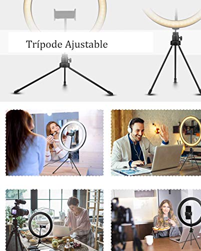 Aro de Luz con Tripode LED Ring Light Anillo Luz para Maquillaje, Tiktok, Live Stream, Fotografia, Vlog con tripode y Mando (Tamaño de Aro: 26cm)