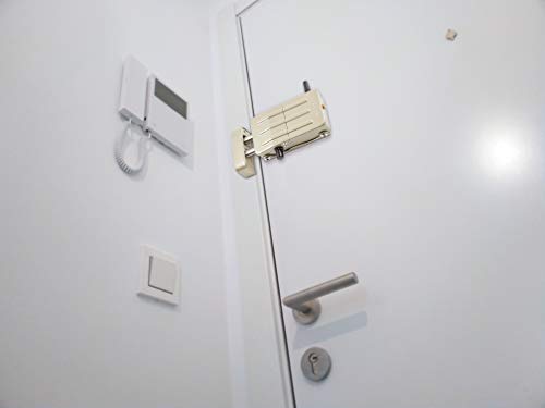 Arregui CI10P Cerradura de Seguridad Invisible para Puerta con 4 mandos, antirrobo, anti okupas, Plata