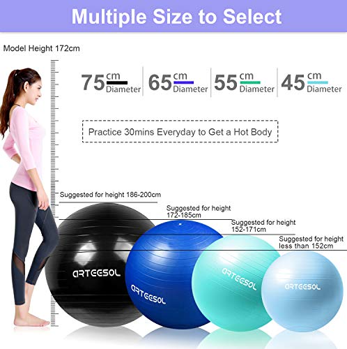 arteesol Pelota de Ejercicio, 45cm/55cm/65cm/75cm Pelota de Yoga Fitness Estabilizador Resistente Bola de Equilibrio con Bomba rápida para la Fuerza del núcleo (65cm, Océano Azul) arteesol Pelota de Ejercicio, 45cm/55cm/65cm/75cm Pelota de Yoga Fitness Estabilizador Resistente Bola de Equilibrio con Bomba rápida para la Fuerza del núcleo (65cm, Océano Azul)