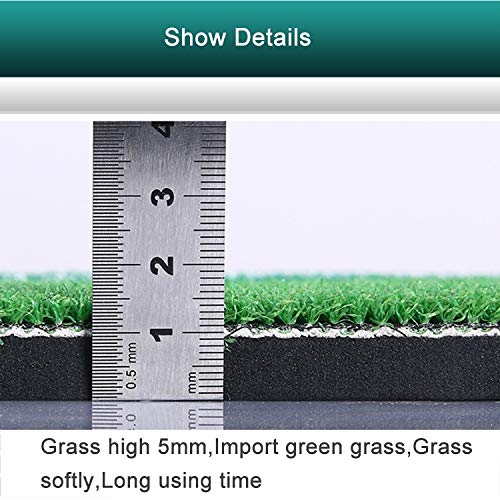 Artículos Deportivos WJIndoor Golf de la práctica Mat EVA Materiales Golf Colchoneta de Ejercicio Regular con la tee edición, tamaño: 30 * 90cm