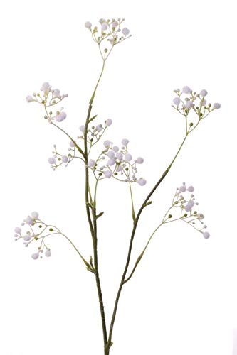 artplants.de Set 11 x Ramas sintéticas de Velo de Novia Asana, Blanco, 65cm, Ø0,5cm - Gypsophila Artificial - Pack de gisófilas de plástico artplants.de Set 11 x Ramas sintéticas de Velo de Novia Asana, Blanco, 65cm, Ø0,5cm - Gypsophila Artificial - Pack de gisófilas de plástico