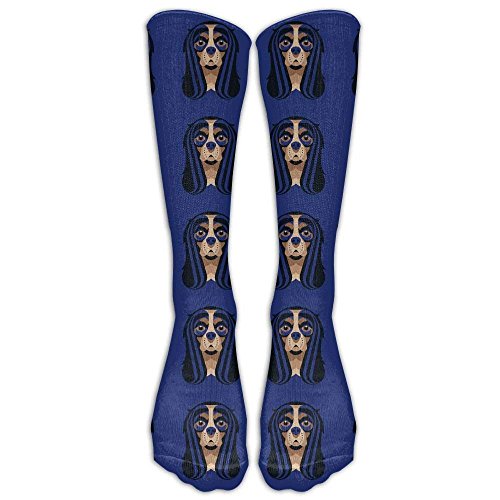 Asa Dutt528251 Calcetines tobilleros unisex para hombre/mujer King Charles Cavalier Illustration Casual Crew Top Calcetines