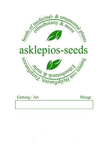 Asklepios-seeds® - 50 Semillas de Wisteria sinensis visteria china, glicina