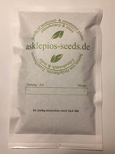 Asklepios-seeds® - 50 Semillas de Wisteria sinensis visteria china, glicina