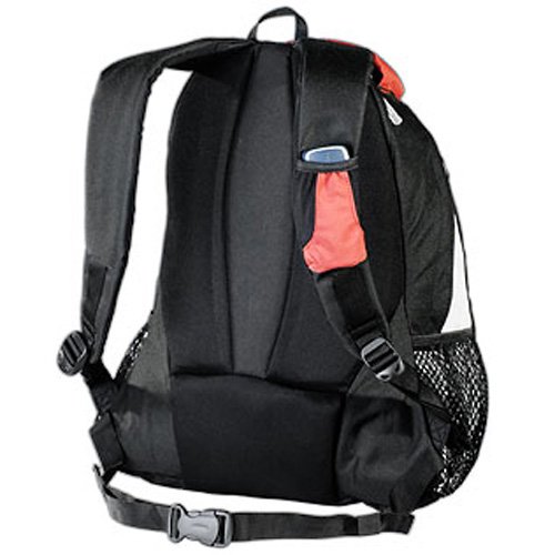 AspenSport Sevilla - Mochila escolar y de ocio (30 L)