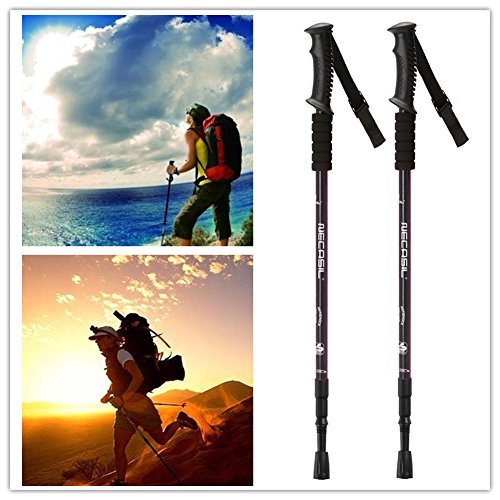 AUTOPkio Bastón de trekking con bolsa de transporte antichoque, mango de espuma EVA, correa y para senderismo Negro AUTOPkio Bastón de trekking con bolsa de transporte antichoque, mango de espuma EVA, correa y para senderismo Negro