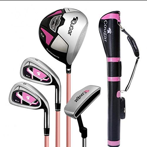 AYES - Juego completo de palos de golf para mujer con palos de golf y bolsa de soporte para mujeres y principiantes (4 ejes de carbono medio set gun)