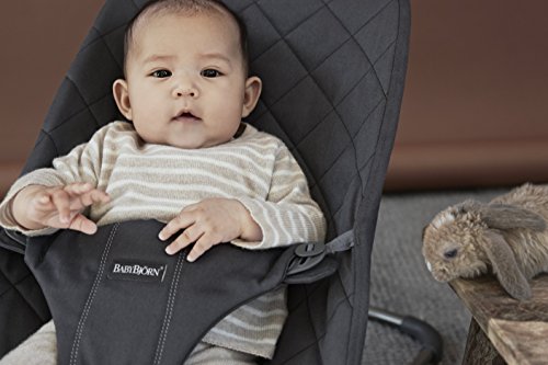 BabyBjörn Bliss, Algodón, Antracita BabyBjörn Bliss, Algodón, Antracita