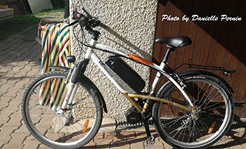 Bafang Bicicleta eléctrica BBS01B 48V 750W Kit de conversión de Bicicleta de montaña con Motor Central Bicicleta de EBike con batería de 48V 11.6/17.5Ah Hailong/Portaequipajes Batería