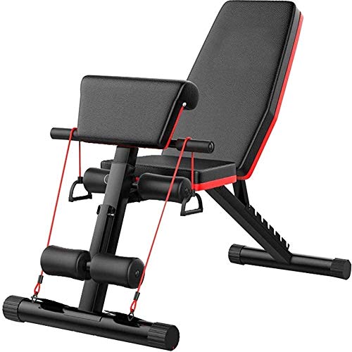 Banco de Entrenamiento con Mancuernas Sacerdote heces banco silla romana Siéntese con mancuernas de fitness heces Siéntese Banco de Entrenamiento Corporal Total cubierta Gimnasio en casa aparatos de e Banco de Entrenamiento con Mancuernas Sacerdote heces banco silla romana Siéntese con mancuernas de fitness heces Siéntese Banco de Entrenamiento Corporal Total cubierta Gimnasio en casa aparatos de e