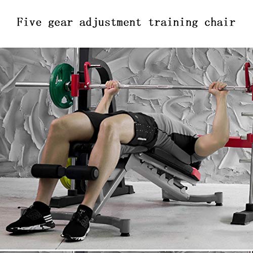 Bancos ajustables Mancuerna heces Sit-up Junta Press de banca Bird heces Abdominales Dispositivo de Entrenamiento Asistida Ejercicio for la Cintura y el Abdomen (Color : Gray, Size : 125 * 47 * 21cm) Bancos ajustables Mancuerna heces Sit-up Junta Press de banca Bird heces Abdominales Dispositivo de Entrenamiento Asistida Ejercicio for la Cintura y el Abdomen (Color : Gray, Size : 125 * 47 * 21cm)