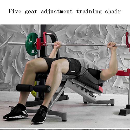 Bancos ajustables Mancuerna heces Sit-up Junta Press de banca Bird heces Abdominales Dispositivo de Entrenamiento Asistida Ejercicio for la Cintura y el Abdomen (Color : Gray, Size : 125 * 47 * 21cm)