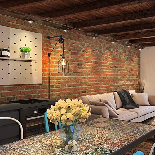 BarcelonaLED Lámpara colgante de polea Aplique pared estilo Industrial vintage altura regulable con jaula negra y interruptor para bombilla E27 dormotorio salon bar BarcelonaLED Lámpara colgante de polea Aplique pared estilo Industrial vintage altura regulable con jaula negra y interruptor para bombilla E27 dormotorio salon bar