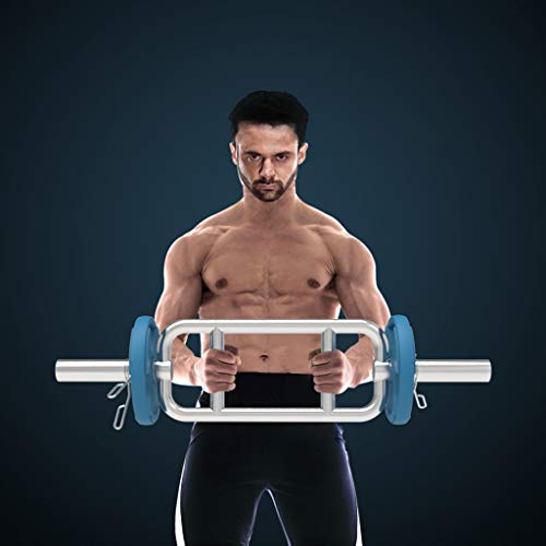 Barras de entrenamiento de fuerza Acero inoxidable de múltiples gripes con circlip Equipo de entrenamiento de peso doméstico CHRUGH BAR T-BAR ROW Gimnasios en casa ( Color : Silver , Size : 49cm ) Barras de entrenamiento de fuerza Acero inoxidable de múltiples gripes con circlip Equipo de entrenamiento de peso doméstico CHRUGH BAR T-BAR ROW Gimnasios en casa ( Color : Silver , Size : 49cm )