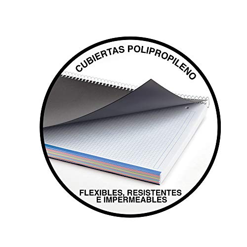 Basicos Mr 42004, Cuaderno A4 con Tapa de Polipropileno, 200 hojas, 5 mm, Azul Basicos Mr 42004, Cuaderno A4 con Tapa de Polipropileno, 200 hojas, 5 mm, Azul