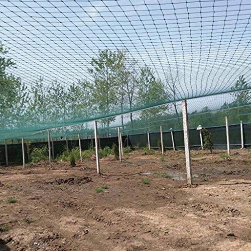 BBGS Jardín Netting - Plantas Proporcionar Protección A Frutas Árboles de Las Flores - Tejido Verde del Acoplamiento del Estiramiento de Esgrima A Las Paradas de Aves Animales Deer
