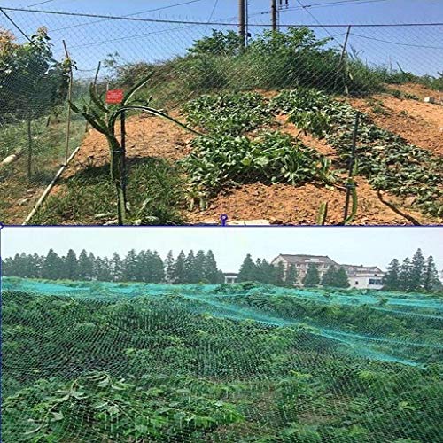 BBGS Jardín Netting - Plantas Proporcionar Protección A Frutas Árboles de Las Flores - Tejido Verde del Acoplamiento del Estiramiento de Esgrima A Las Paradas de Aves Animales Deer