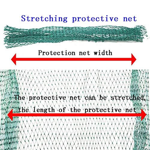 BBGS Jardín Netting - Plantas Proporcionar Protección A Frutas Árboles de Las Flores - Tejido Verde del Acoplamiento del Estiramiento de Esgrima A Las Paradas de Aves Animales Deer