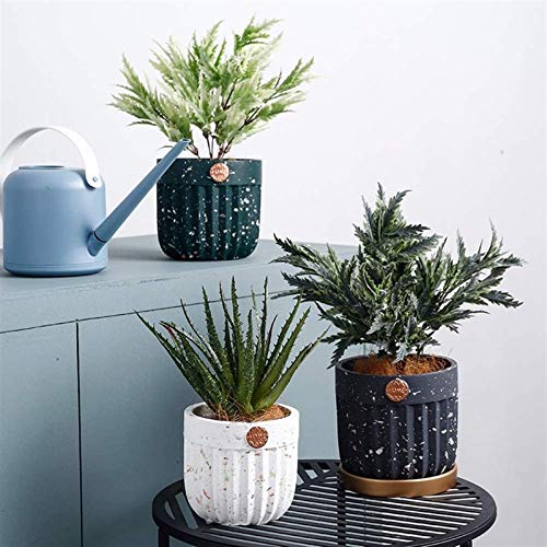 Bcaer Estilo nórdico recto con bandeja maceta maceta maceta Moderna minimalista cerámica cerámica de cerámica textura de mármol maceta interior sembradora de cerámica planta de cerámica con agujero de Bcaer Estilo nórdico recto con bandeja maceta maceta maceta Moderna minimalista cerámica cerámica de cerámica textura de mármol maceta interior sembradora de cerámica planta de cerámica con agujero de