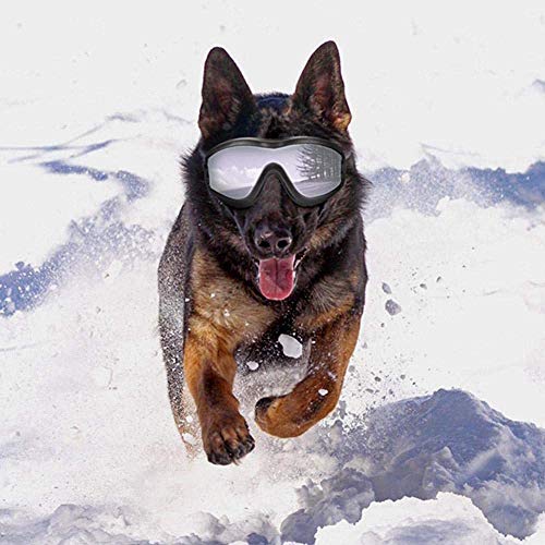 Bcaer Gafas de Sol para Perros Perro de la Manera Impermeable al Aire Libre Anti-Niebla Anti-Ultravioleta a Prueba de Polvo y la Nieve a Prueba de natación del Perro Las Gafas de Sol,Black