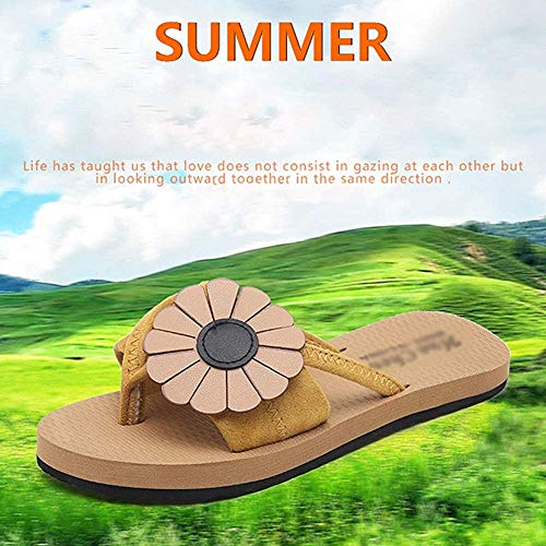 Bcaer Mujer Llevar Zapatillas de Verano Nueva Corea Moda Las Flores de Fondo Plano Chanclas Estudiantes Red roja Antideslizantes Dedo del pie de Playa Zapatos,Black-37 Bcaer Mujer Llevar Zapatillas de Verano Nueva Corea Moda Las Flores de Fondo Plano Chanclas Estudiantes Red roja Antideslizantes Dedo del pie de Playa Zapatos,Black-37