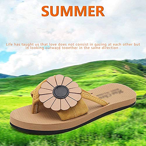 Bcaer Mujer Llevar Zapatillas de Verano Nueva Corea Moda Las Flores de Fondo Plano Chanclas Estudiantes Red roja Antideslizantes Dedo del pie de Playa Zapatos,Black-37