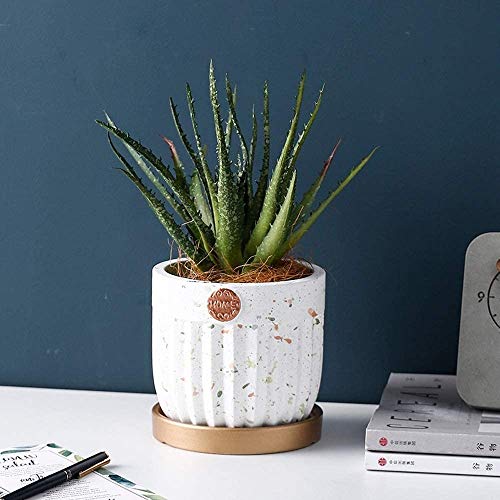 Bcaer Pote de flor de cemento nórdico Cerámica Cerámica Bonsai Flor Pot Maceta Estilo nórdico recto con bandeja maceta de cerámica Mármol de cerámica Mármol de maceta Pot Santificador de cerámica Pote Bcaer Pote de flor de cemento nórdico Cerámica Cerámica Bonsai Flor Pot Maceta Estilo nórdico recto con bandeja maceta de cerámica Mármol de cerámica Mármol de maceta Pot Santificador de cerámica Pote