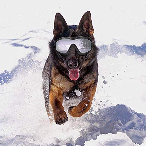 Bcaer Protección de los Ojos del Perro Las Gafas de Sol para Mascotas UV Gafas de natación Impermeable a Prueba de Viento Anti-vaho para la pequeña Perrito del Animal doméstico,Black