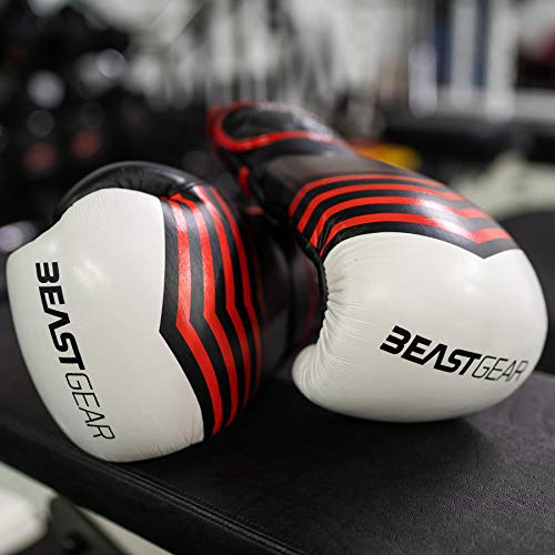 Beast Gear Guantes de Boxeo - Modelo Simian Guantes de Entrenamiento de Cuero de Vaca Genuino para Saco de Boxeo, Almohadillas y Guantes de Combate - 16oz Beast Gear Guantes de Boxeo - Modelo Simian Guantes de Entrenamiento de Cuero de Vaca Genuino para Saco de Boxeo, Almohadillas y Guantes de Combate - 16oz