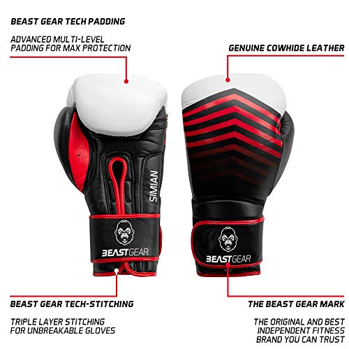 Beast Gear Guantes de Boxeo - Modelo Simian Guantes de Entrenamiento de Cuero de Vaca Genuino para Saco de Boxeo, Almohadillas y Guantes de Combate - 16oz Beast Gear Guantes de Boxeo - Modelo Simian Guantes de Entrenamiento de Cuero de Vaca Genuino para Saco de Boxeo, Almohadillas y Guantes de Combate - 16oz