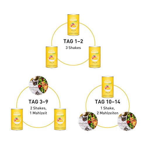 BEAVITA Vitalkost Plus - Batido dietético sustitutivo de comida - Diet Shake para pérdida de peso ligera – Solo 207 calorías - 572g y plan de dieta de 14 días - Polvo proteico sabor Mango Lassi