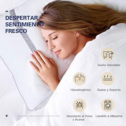 BedStory Almohada Antiácaros 42 x 70 cm Pack 2 Almohadas de Hotel Almohada con Relleno de Microfibra y Tejido Antialérgico para Dormir de Lado y Boca Arriba