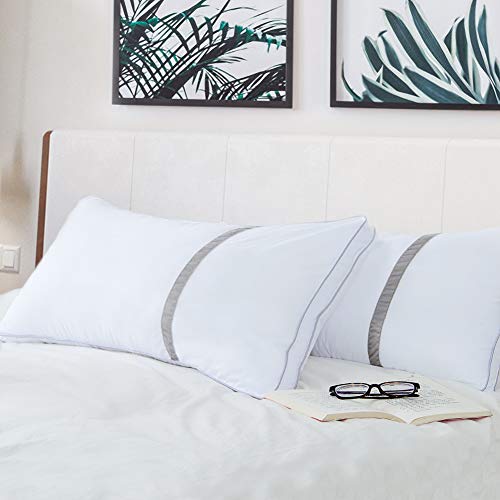 BedStory Almohada Antiácaros 42 x 70 cm Pack 2 Almohadas de Hotel Almohada con Relleno de Microfibra y Tejido Antialérgico para Dormir de Lado y Boca Arriba BedStory Almohada Antiácaros 42 x 70 cm Pack 2 Almohadas de Hotel Almohada con Relleno de Microfibra y Tejido Antialérgico para Dormir de Lado y Boca Arriba